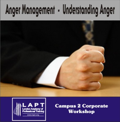 Code-261 Anger Management  -  Understanding Anger