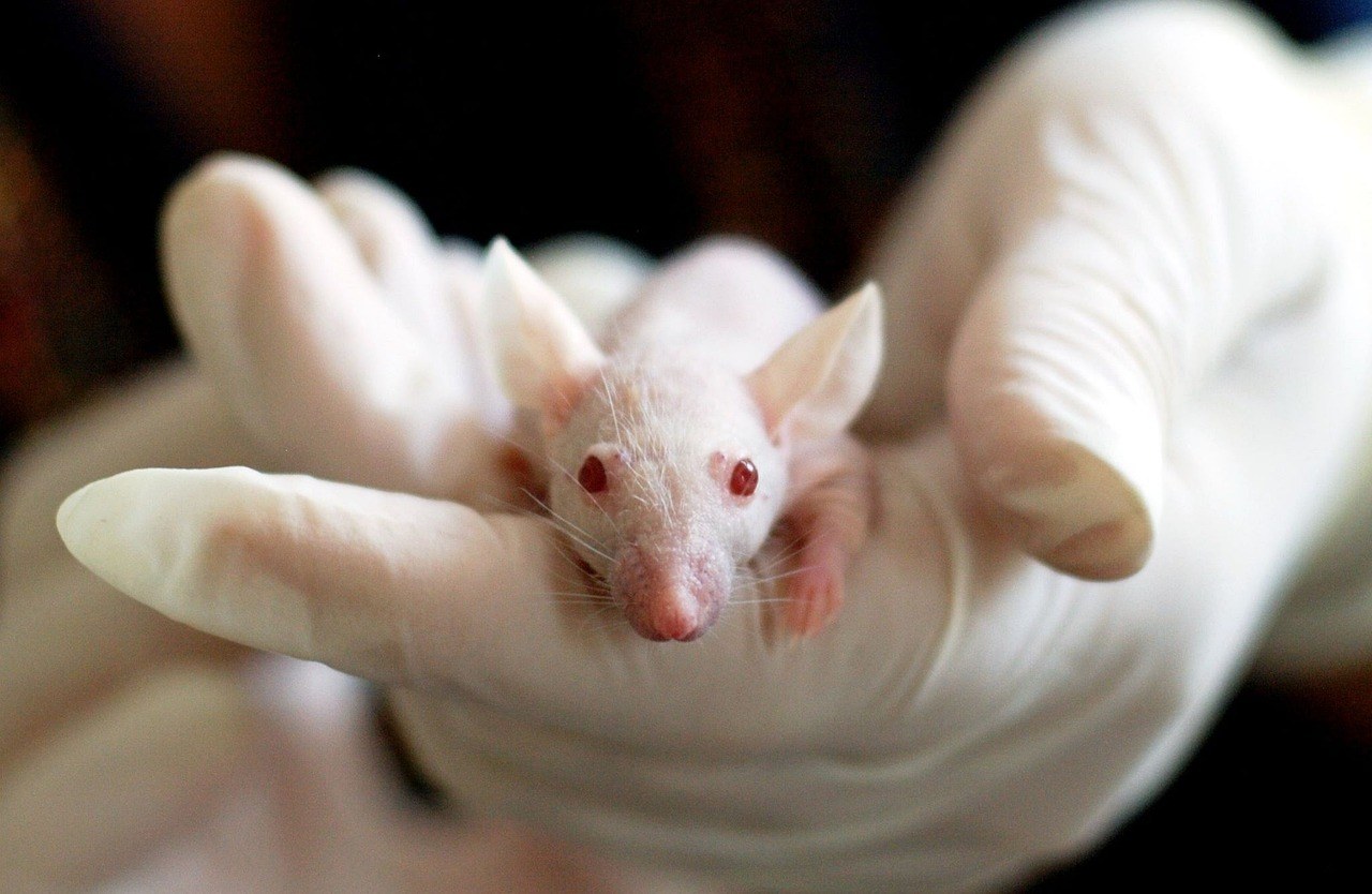ISO 21709 — Biotechnology Biobanking for Research