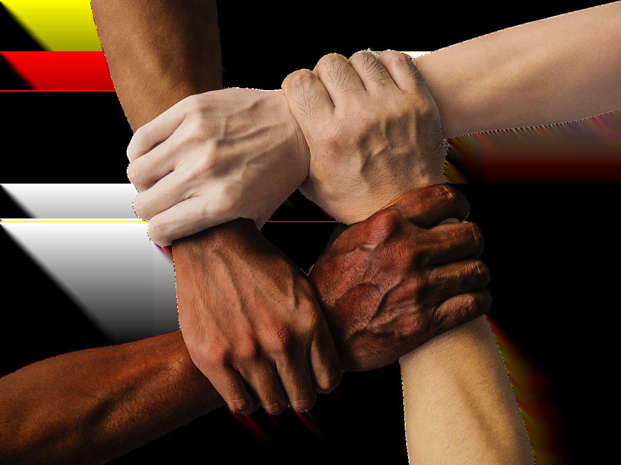 ISO 44001GEN — Collaborative Business Relationships Gender Inclusion